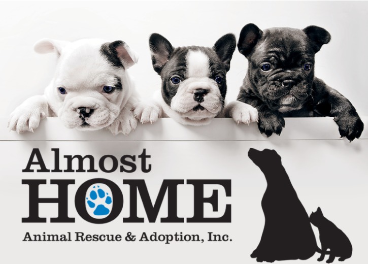 Almost Home Animal Rescue & Adoption - Almost Home Animal Rescue