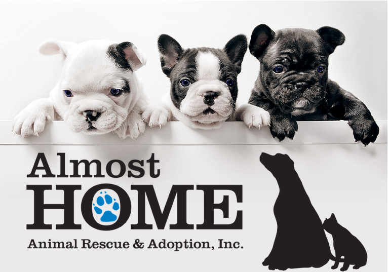 Almost Home Long Island – Comedy Show