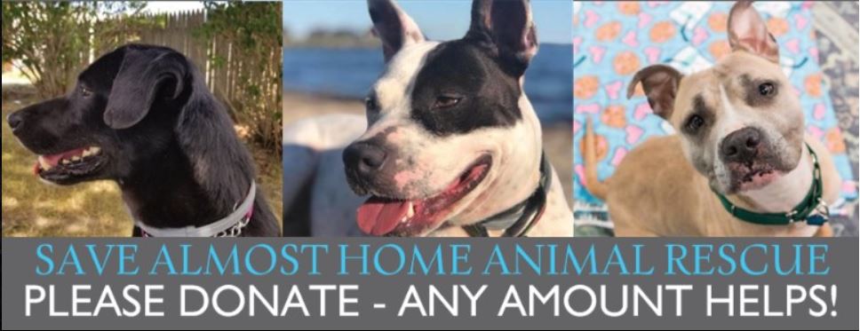 Almost Home Animal Rescue