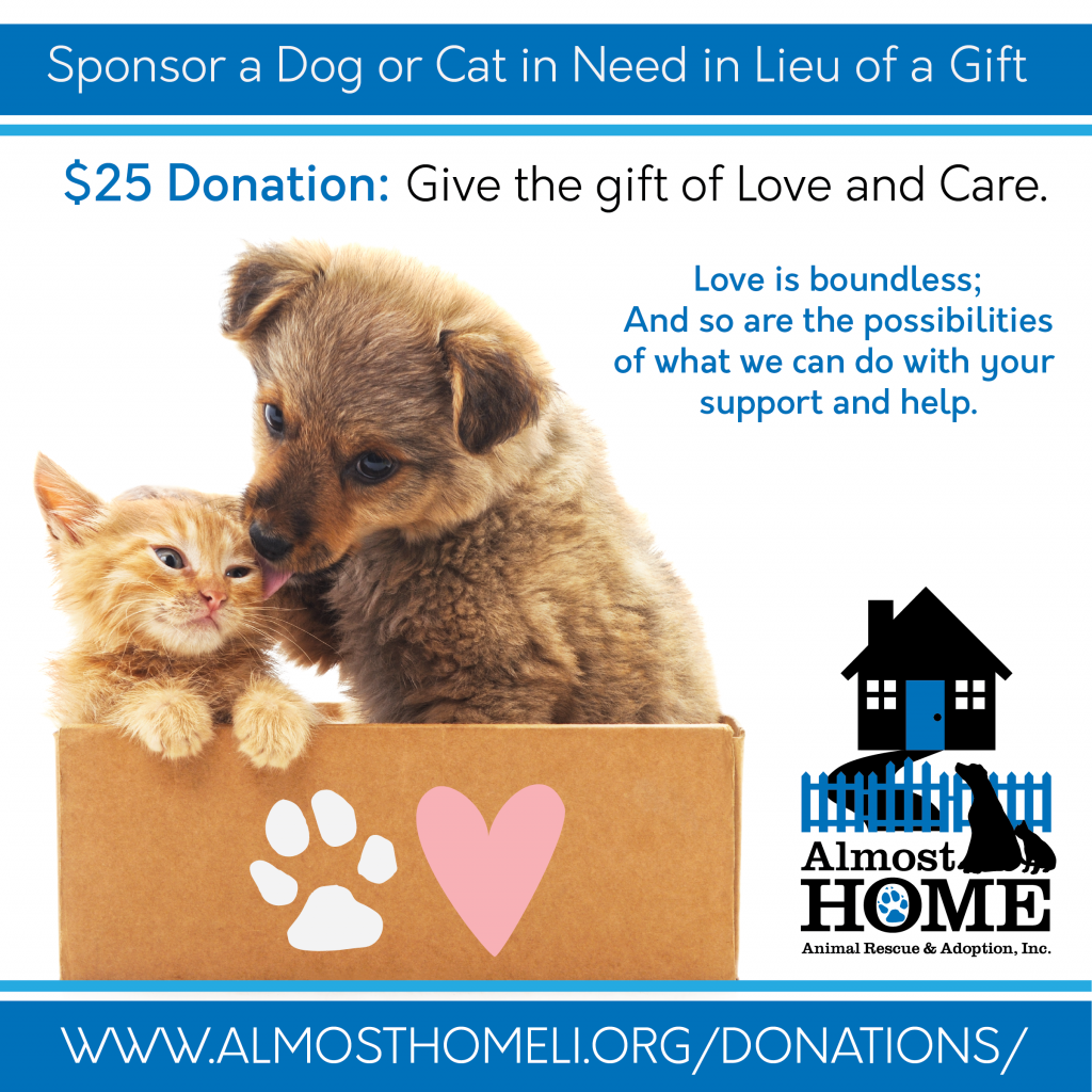 Giving the Gift of a Home-Things to Consider - South Town Animal