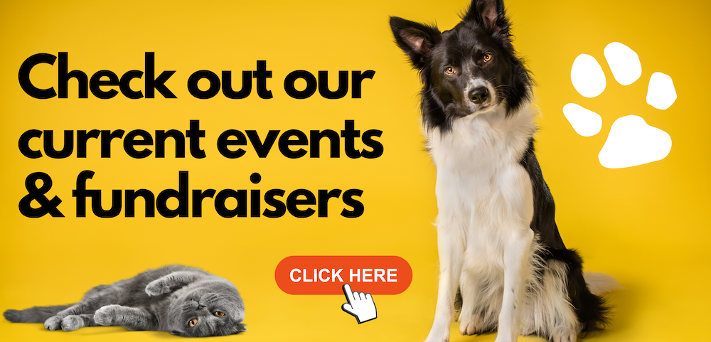 Animal rescue events near hot sale me